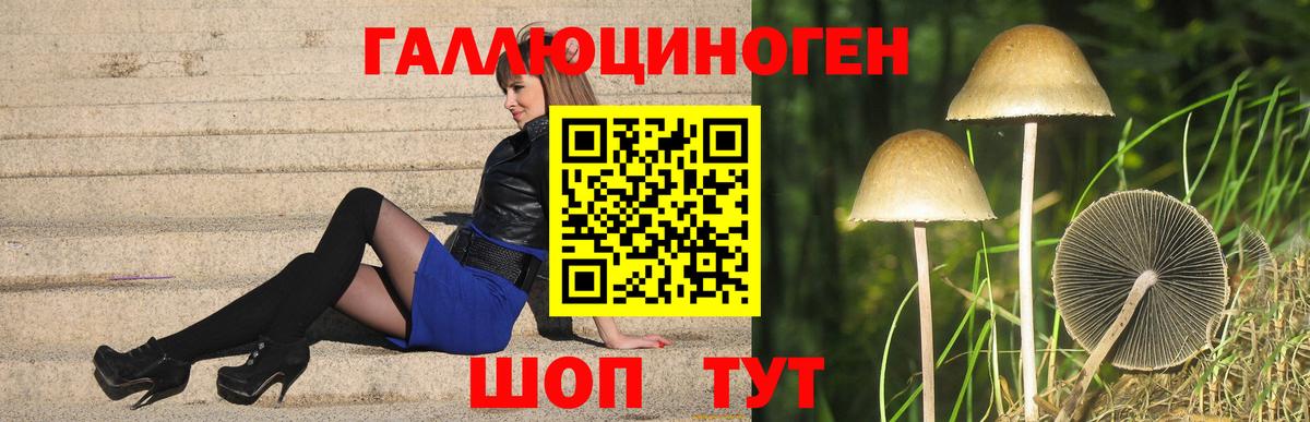 Галлюциногенные грибы мицелий  Вход с VPN  Пугачёв  Псилоцибиновые грибы Psilocybe 
